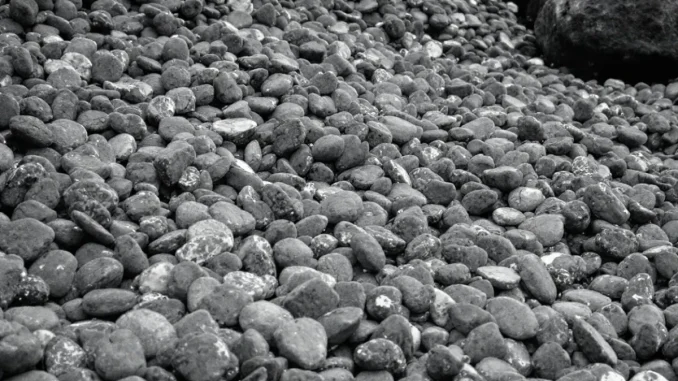linoperance-de-la-sa